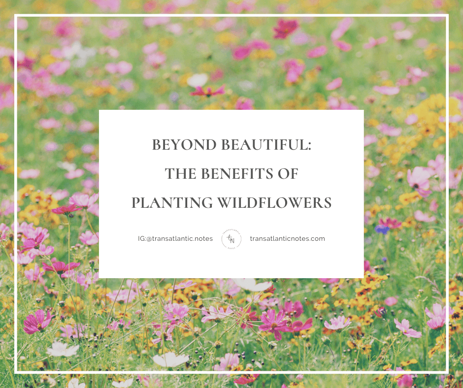 A meadow filled with yellow and pink wildflowers.