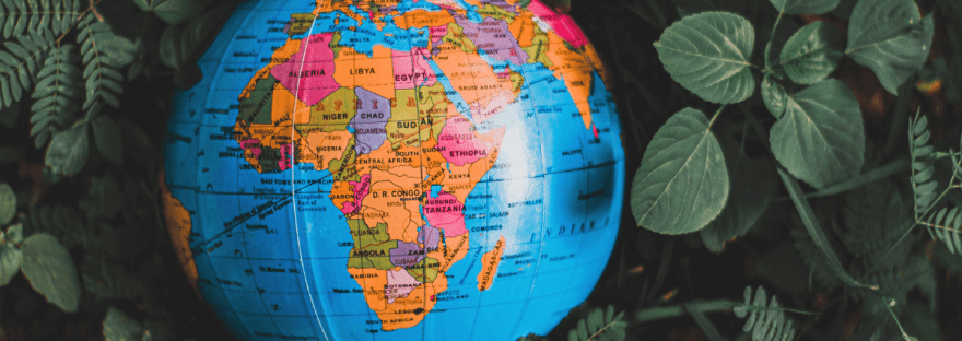 An inflatable globe is surrounded by lush, dark green leaves; photo via Nothing Ahead/Canva.