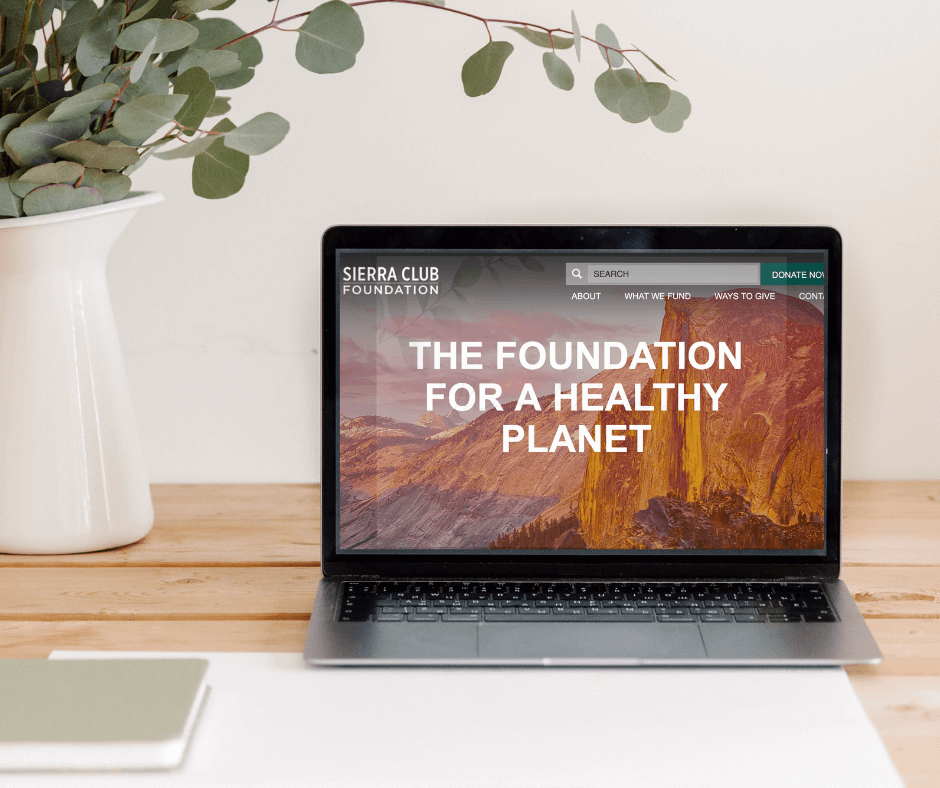 An open laptop on a wooden desk next to a large pot of eucalyptus branches with leaves shows the website for the Sierra Club.
