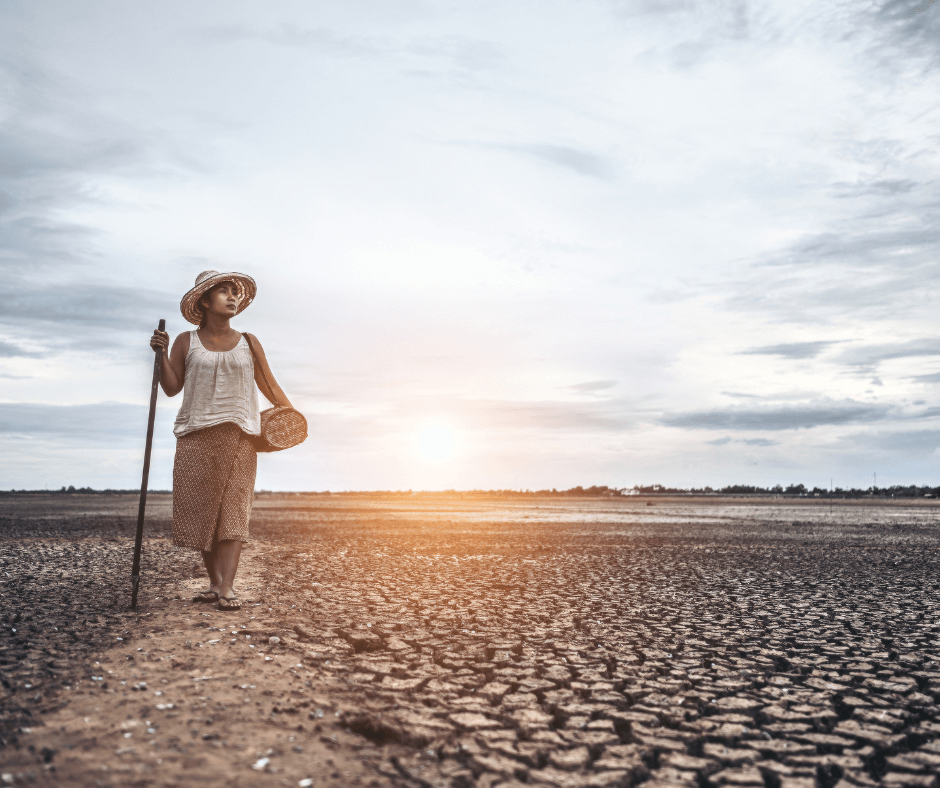 A woman walks on dried, cracked soil made uninhabitable by global warming; she looks concerned as she searches for crops or food.
