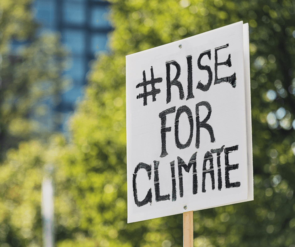 A large protest sign made of white cardboard has the words “Rise for Climate” written on it in large, black letters.