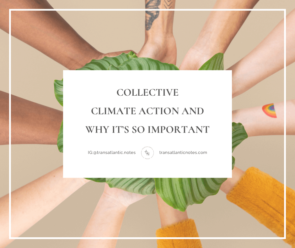 The hands of five diverse people, arranged in a circle, hold a plant with large vibrant green leaves in the centre of the photo to symbolise collective support for climate action.